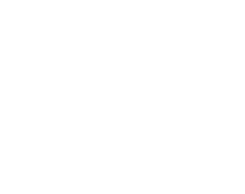 Concretewave Skateshop