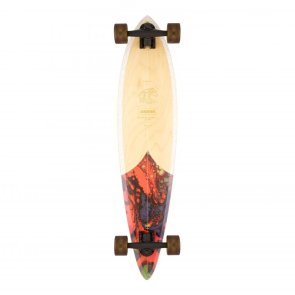 Arbor Performance Groundswell Fish Complete Longboard...