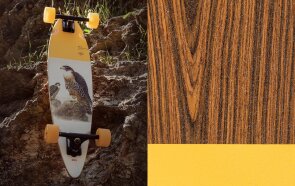 Globe Falcon Pintail Komplett Longboard 34"