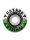 Hazard Wheels Melt Down - Radial White/Green Wheels 55mm 101a