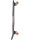 Globe Bells Pitcher Complete Longboard 34"