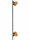 Globe Pintail 37 Kookaburra Komplett Longboard