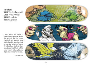 Skateboard Echoes - Skateboard Series 2 book
