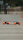 Loaded Tan Tien Prism Complete Longboard Flex 1