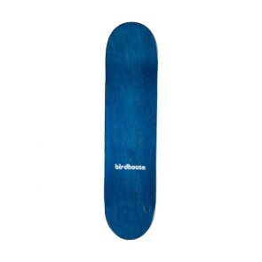 Birdhouse Tony Hawk Stamp deck 8"